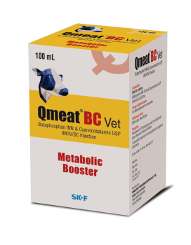 Qmeat BC injection