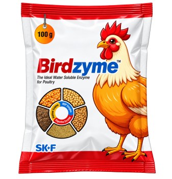 Birdzyme Powder